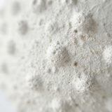 Sandy Spot Plant Pot — detail close-up