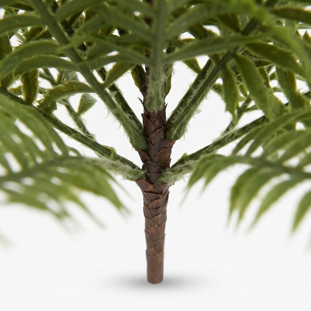 Boston Fern Bush 45cm — detail close-up