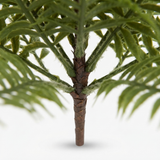 Boston Fern Bush 45cm — detail close-up