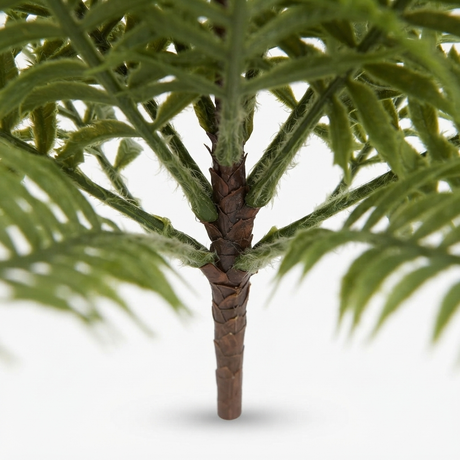 Boston Fern Bush 45cm — detail close-up