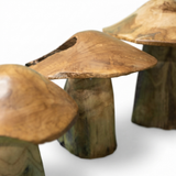 Teak Mushroom Sculpture — detail close-up
