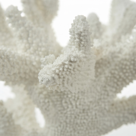 Anenome Coral Resin Sculpture White — detail close-up
