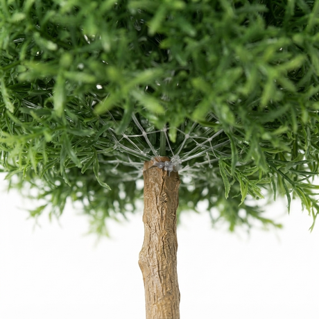 Rosemary Ball Tree 1.45m — detail close-up