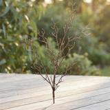 Twig Branch 1.25cm — outdoor setting