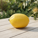 Lemon - Yellow — outdoor setting