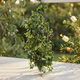 Cissus Bush Vine - Artificial Plant (110cm) — outdoor setting