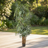 Raphis Palm - Artificial Plant (240cm) — outdoor setting