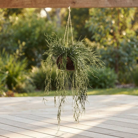 Sea Grass Vine Hanging - Artificial Plant (100cm) — outdoor setting