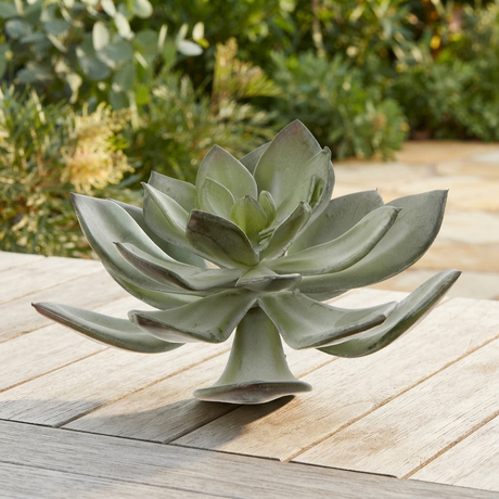 Succulent Pearl Pick 15cm Grey — outdoor setting