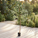 Olive Tree - Artificial Plant (240cm) — outdoor setting