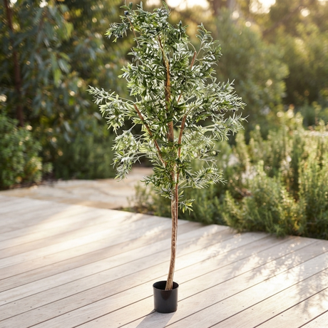 Olive Tree - Artificial Plant (240cm) — outdoor setting