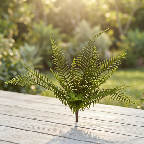 Boston Fern Bush 45cm — outdoor setting