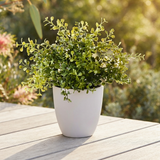 Boxwood Plant - Artificial Plant (28cm H) — outdoor setting