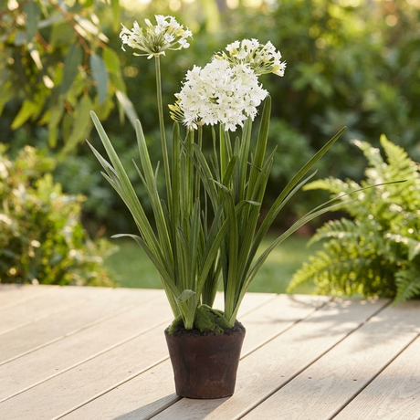 Agapanthus in Paper Pot White - Artificial Plant — outdoor setting