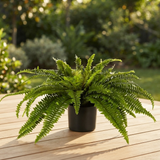 Boston Fern in Blk Pot- Artificial Plant — outdoor setting