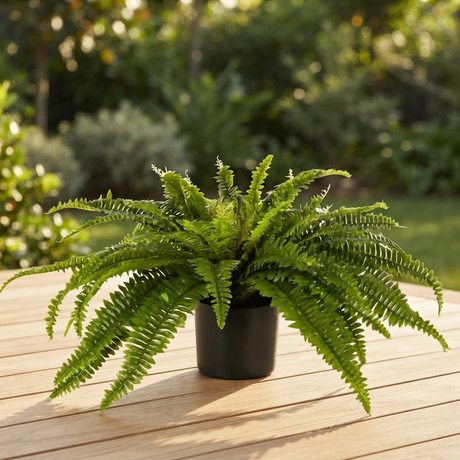 Boston Fern in Blk Pot- Artificial Plant — outdoor setting