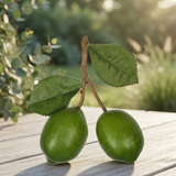 Lime Branch Green — outdoor setting