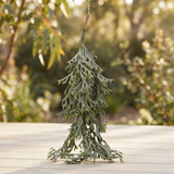 Hanging Staghorn Leaf Bunch — outdoor setting