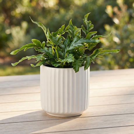 Fern Kangaroo in Pot - Artificial Plant (20cm H) — outdoor setting