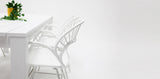 Dallas Fantail 9pc Dining Setting - White