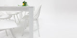 Dallas Persia 9pc Dining Setting- White