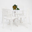 Frankie 5pc Armchair Dining Setting - White