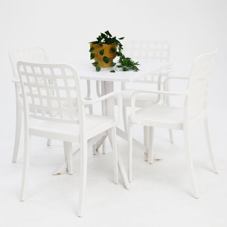 Frankie 5pc Armchair Dining Setting - White