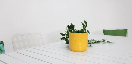 Frankie Azura 9pc Dining Set ARMLESS - White