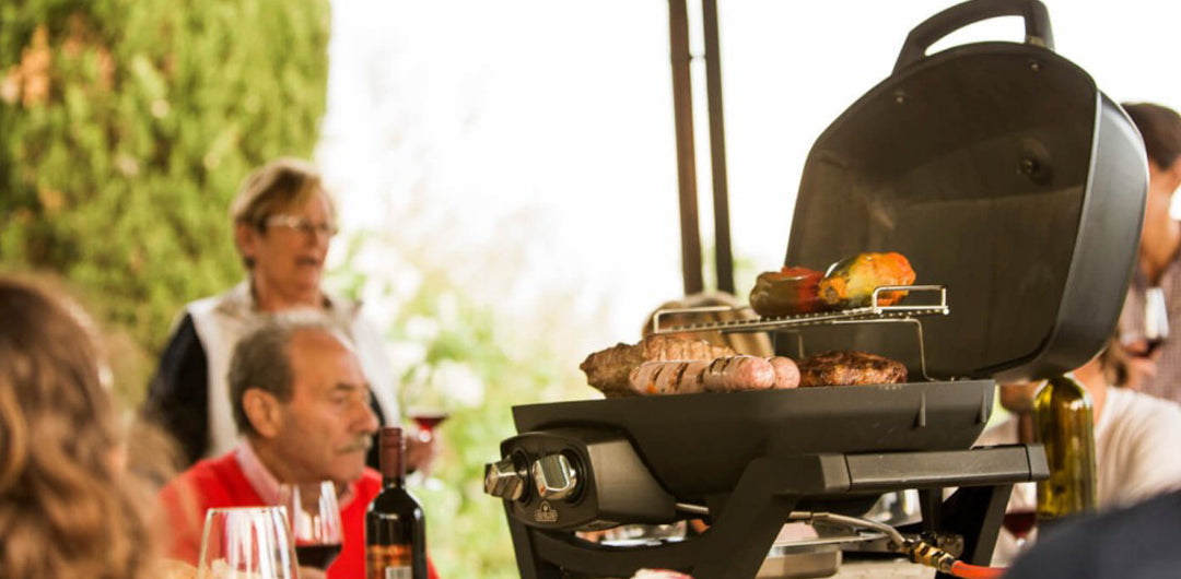 Napoleon Travel Q Pro 285 BBQ