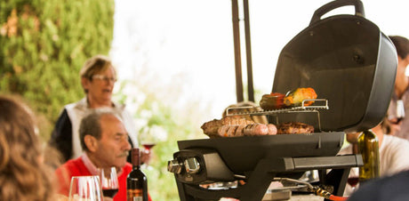 Napoleon Travel Q Pro 285 BBQ