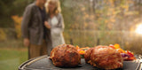 Napoleon Travel Q Pro 285E Electric BBQ