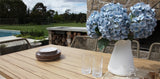 Ravenne Albenga 7pc Dining Setting
