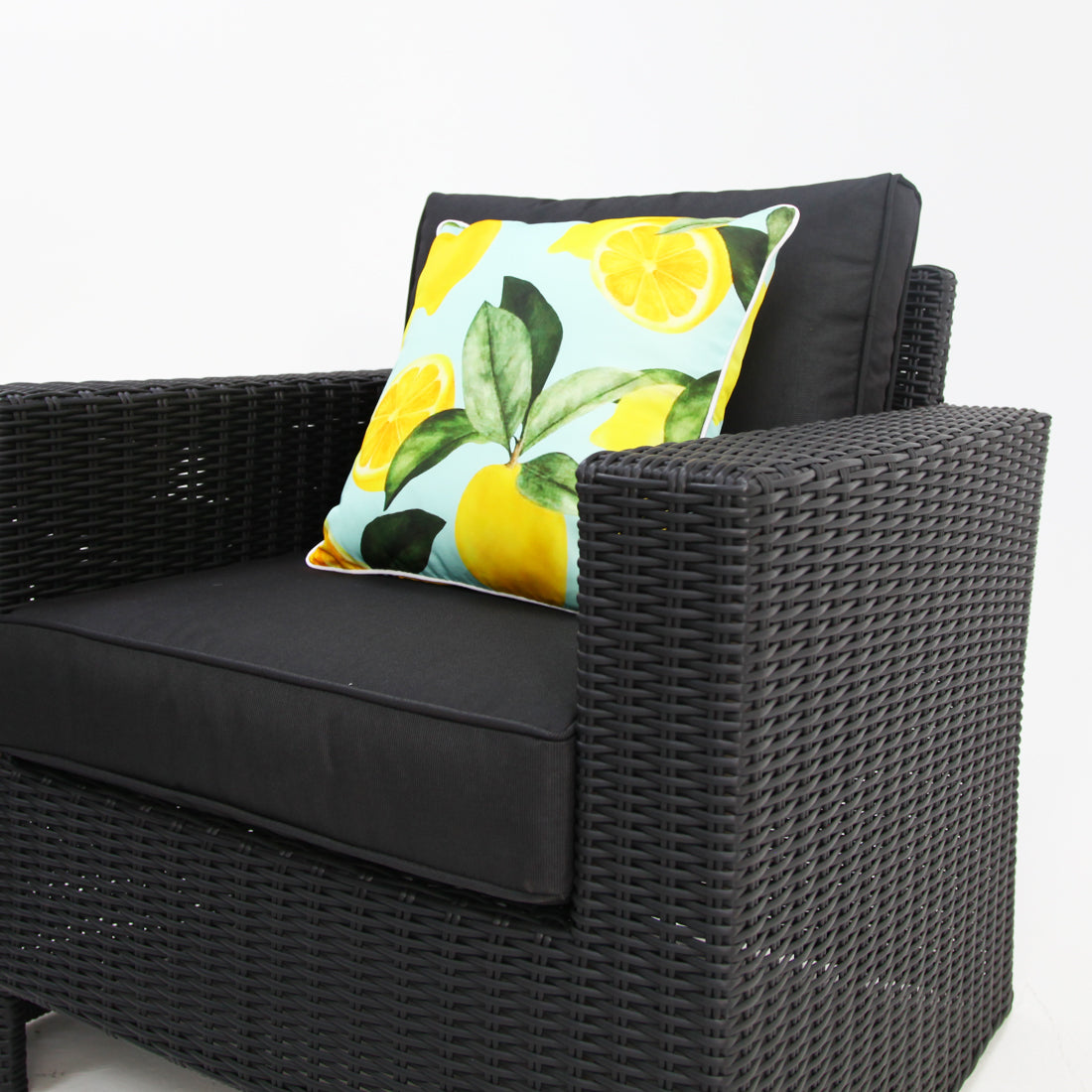Banksia Dallas 211CT - Black
