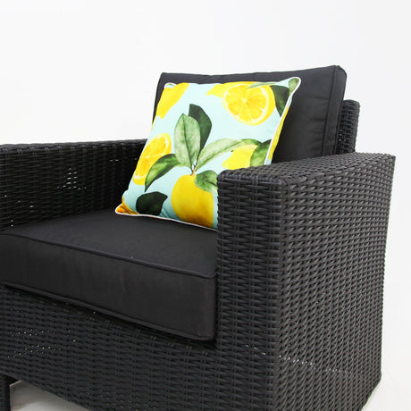 Banksia Dallas 211CT - Black