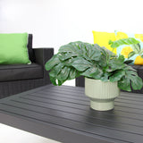 Banksia Dallas 211CT - Black