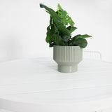 Cila 5pc Bar Setting - White