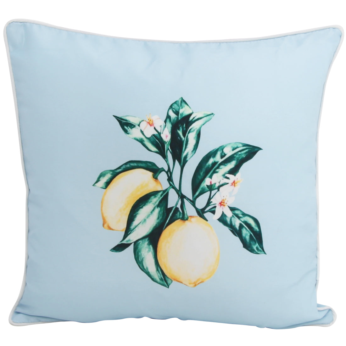 Citrus Blue 45x45cm Outdoor Cushion