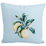 Citrus Blue 45x45cm Outdoor Cushion