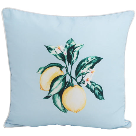 Citrus Blue 45x45cm Outdoor Cushion