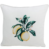 Citrus White 45x45cm Outdoor Cushion