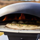 Le Feu Turtle Gas Powered Pizza Oven