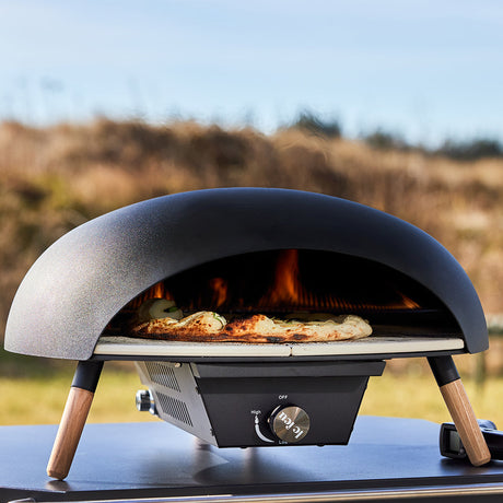 Le Feu Turtle Gas Powered Pizza Oven