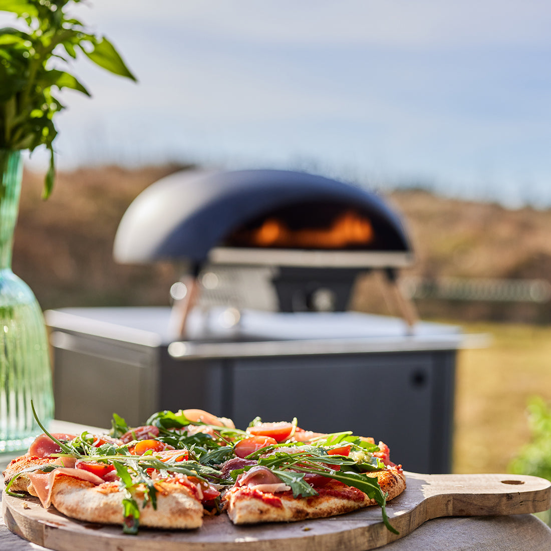 Le Feu Turtle Gas Powered Pizza Oven
