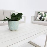 Octavia 4pc Lounge - Cream