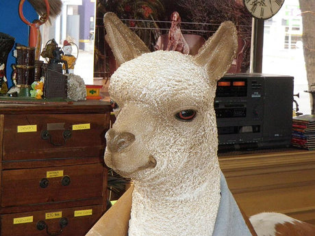 Resin Animals Sculptures