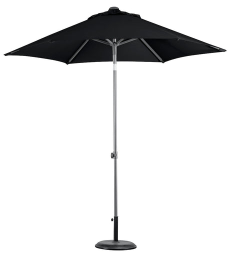 Harbord Umbrella