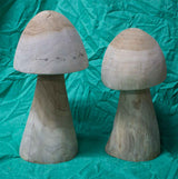 Suarwood Mushroom