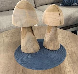 Suarwood Mushroom