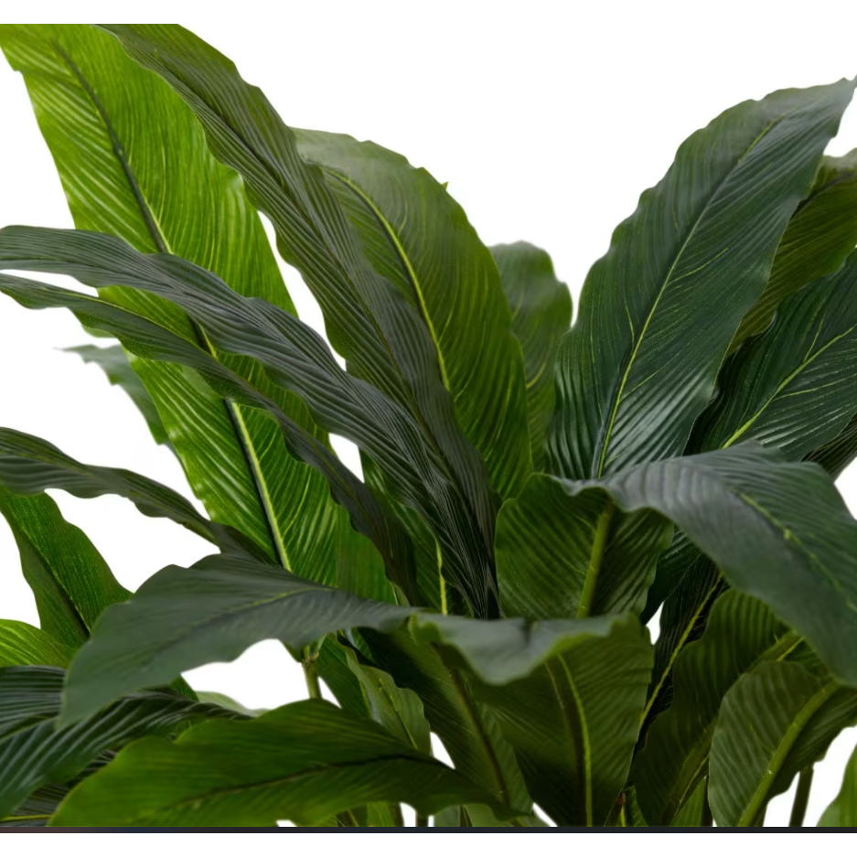 Calathea Velvet Potted - Artificial Plant