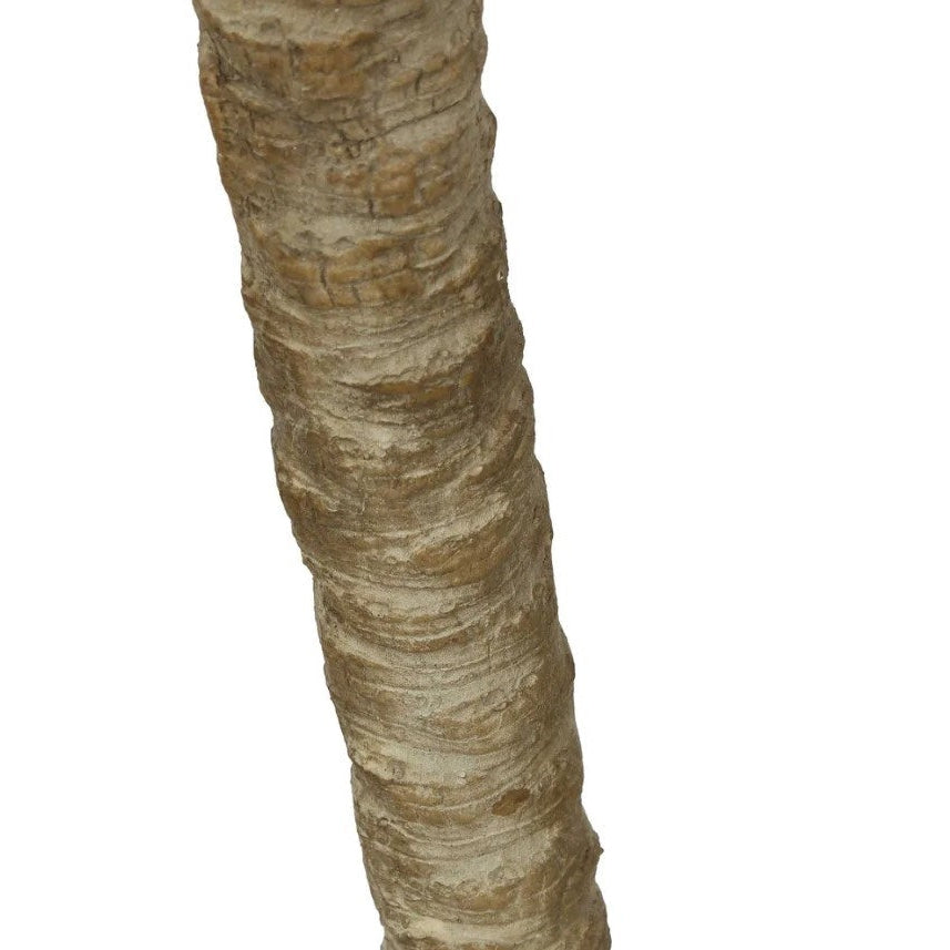 Cycus Palm Tree - Artificial Plant (220cm)